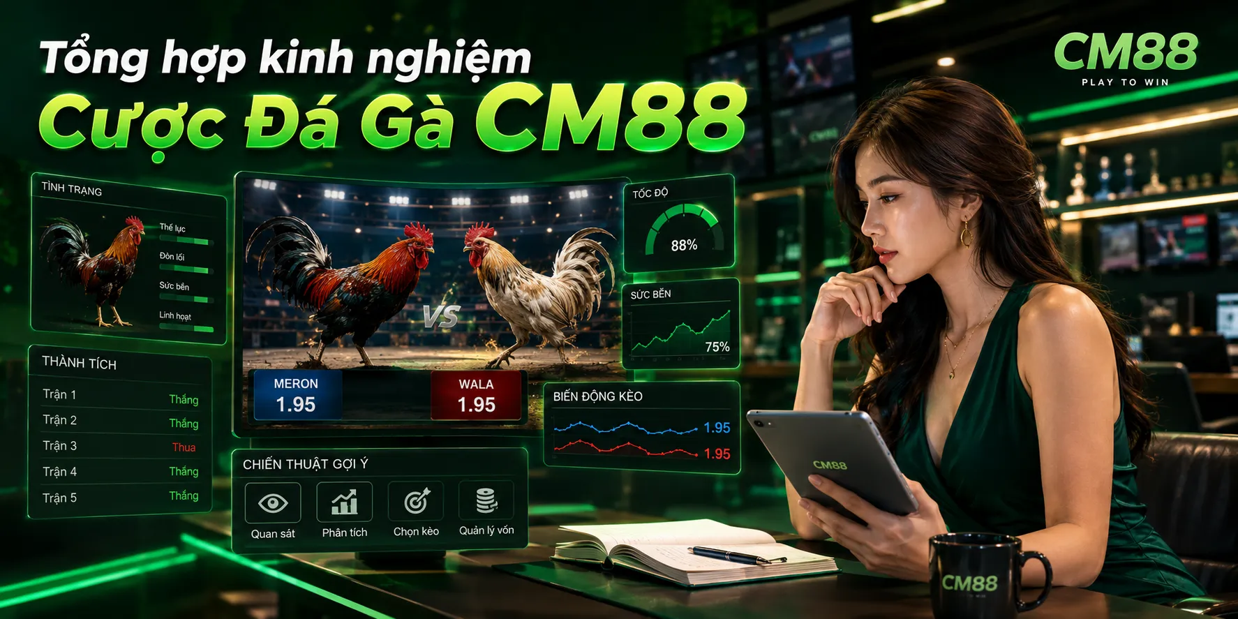 Tổng hợp kinh nghiệm Cược Đá Gà CM88 cho người chơi